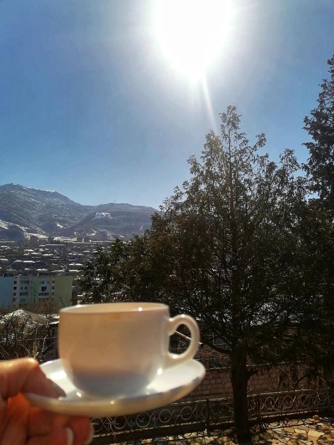 Elegaya Guest House Ijevan Exteriér fotografie